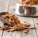 Alimentation